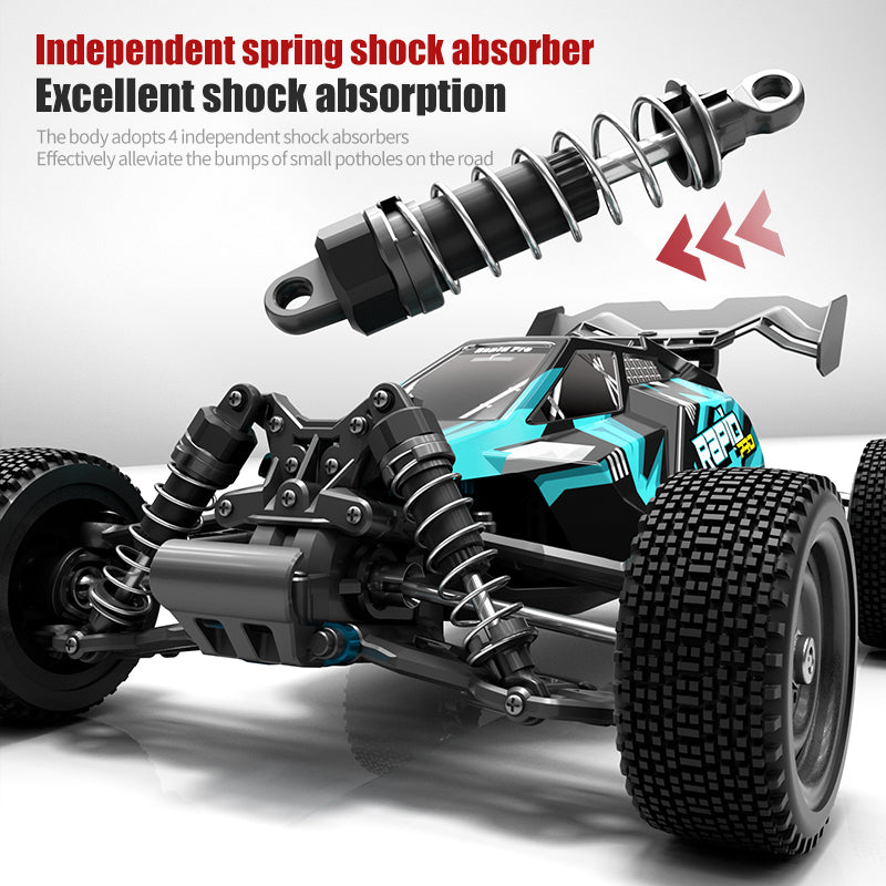 PRO 1/16 4WD Brushless Off-Road RC Buggy